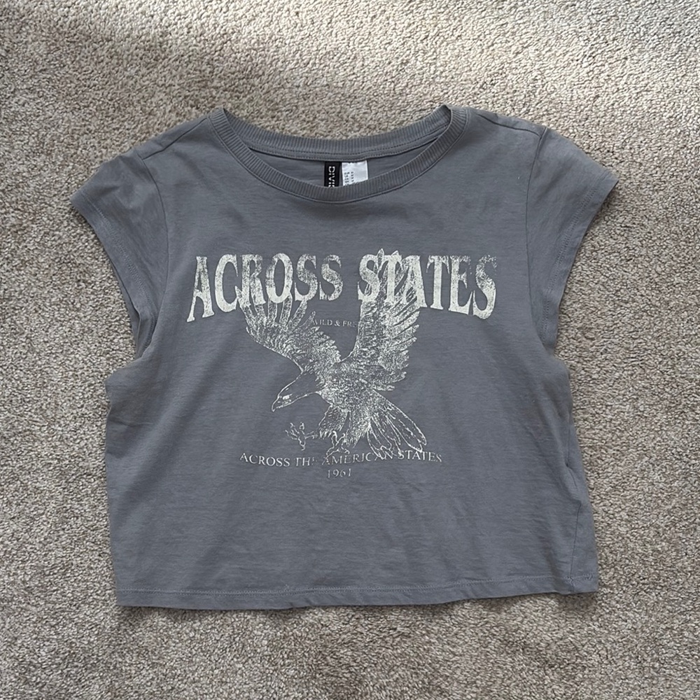 Gray Graphic Crop Top